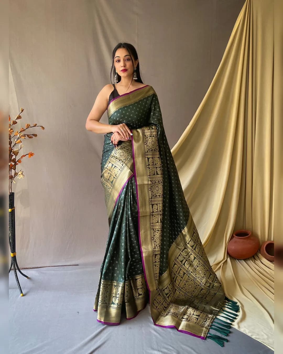 Exquisite Handloom Kanjeevaram Sarees By Sapnaaz