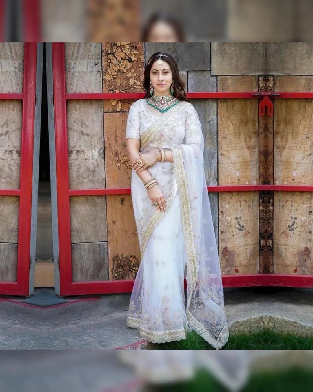 Exquisite Butterfly Soft Net Saree with Embroidered Work and Mono Banglory Silk Blouse alternate view